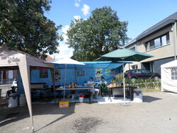 Rupske_lauwers